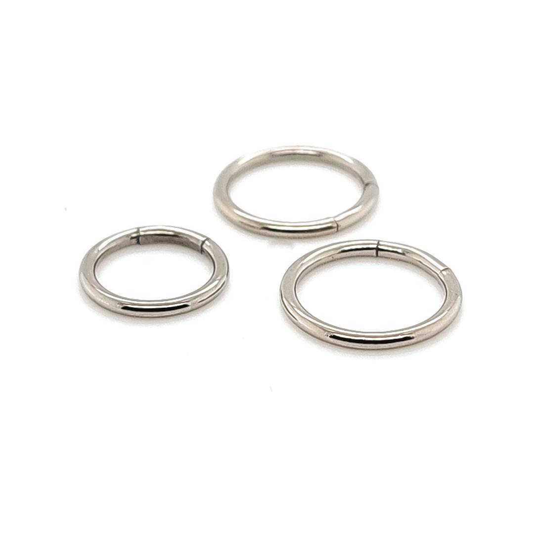 16G Segment Hoop - F136 Titanium
