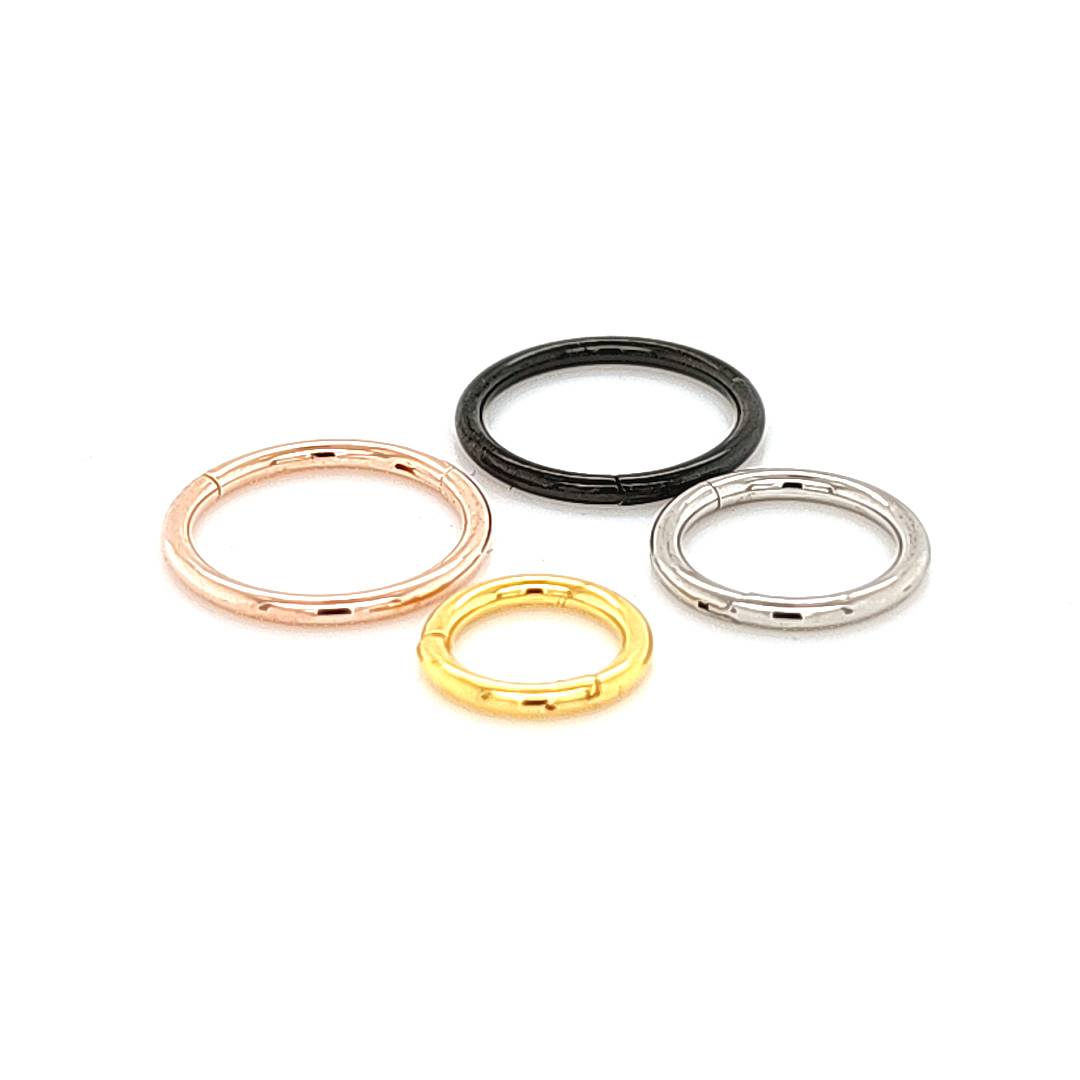 Hinged Segment Ring | 18G Hinged Segment Ring | Hinged Ring – Pico Body ...