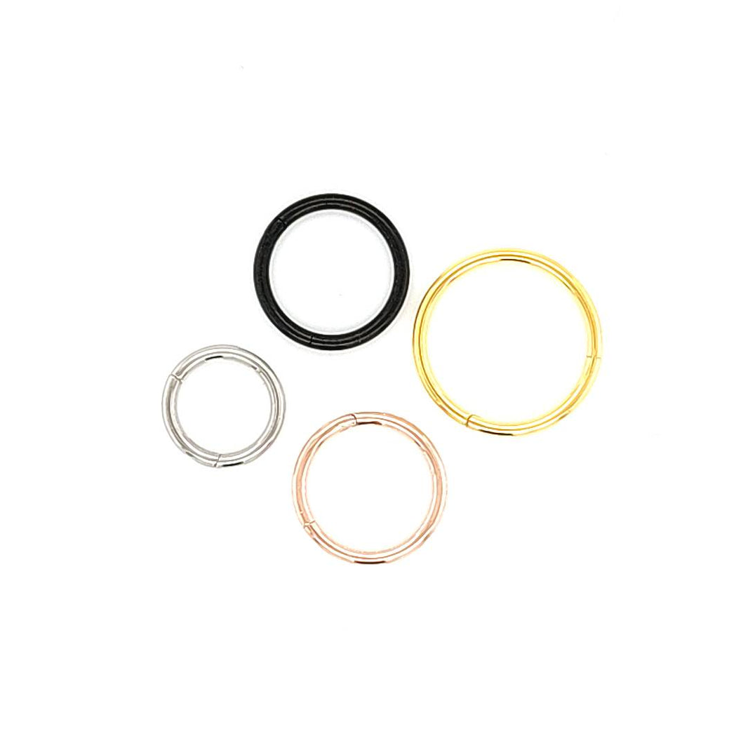 Hinged Segment Ring | 18G Hinged Segment Ring | Hinged Ring – Pico Body ...