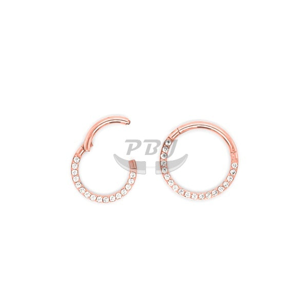 16G New CZ Hinged Segment Clicker, Front CZ- Gold/Rose Gold Steel